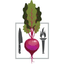 Teaching Kitchen Collaborative’s Nonprofit job post on Arc’s remote job board.