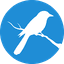 Magpie Health Analytics’s Splunk job post on Arc’s remote job board.