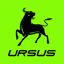 Ursus’s Salesforce lightning job post on Arc’s remote job board.