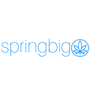 Springbig