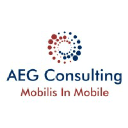 AEG Consulting