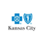 Blue Cross and Blue Shield of Kansas City’s SSIS job post on Arc’s remote job board.