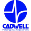 Cadwell’s Systems job post on Arc’s remote job board.