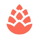 Cedar