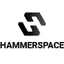 Hammerspace’s Salesforce job post on Arc’s remote job board.