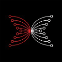 Input Output (IOHK)