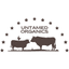 Untamed Organics’s Makeup job post on Arc’s remote job board.