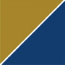 Precision Medicine Group